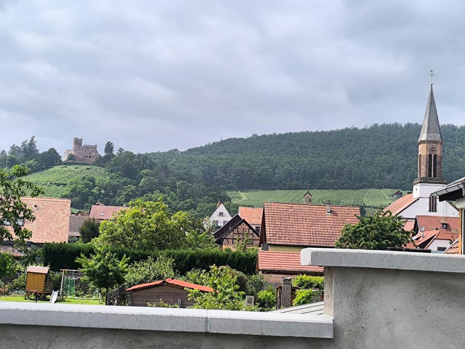 Gite Bonheur Et Charme Spa-Sauna Forfait 2H Inclus Kintzheim Exterior foto